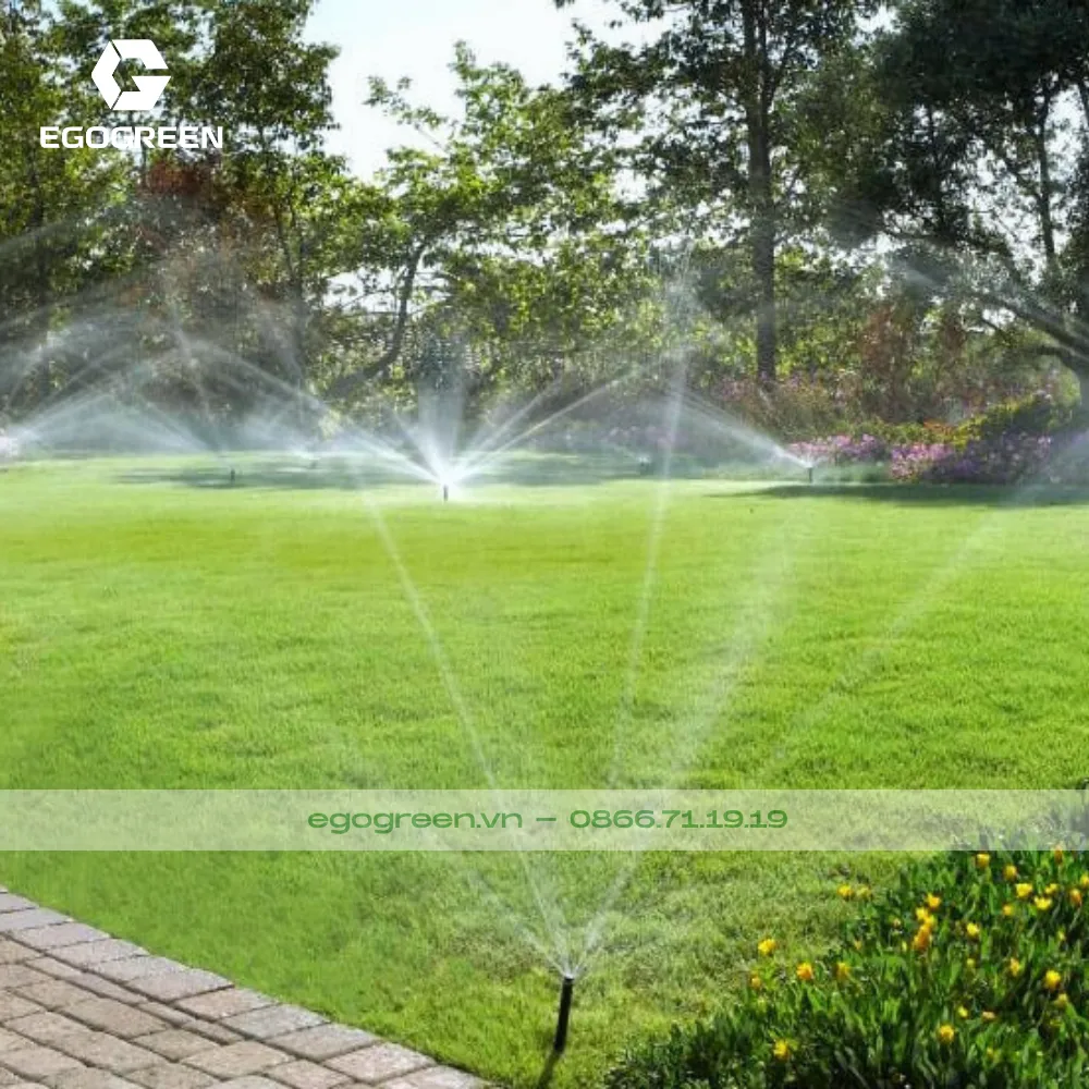 Hậu quả: cây chết rễ, sân trơn trượt, rêu mốc, hỏng nền lát và mất thẩm mỹ.